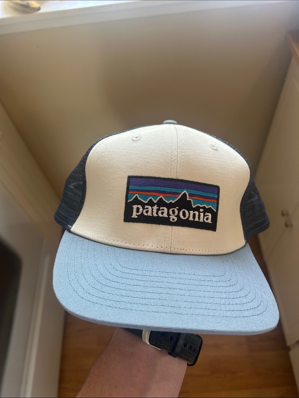 Patagonia Two-Tone Trucker Hat in Cream & Light Blue